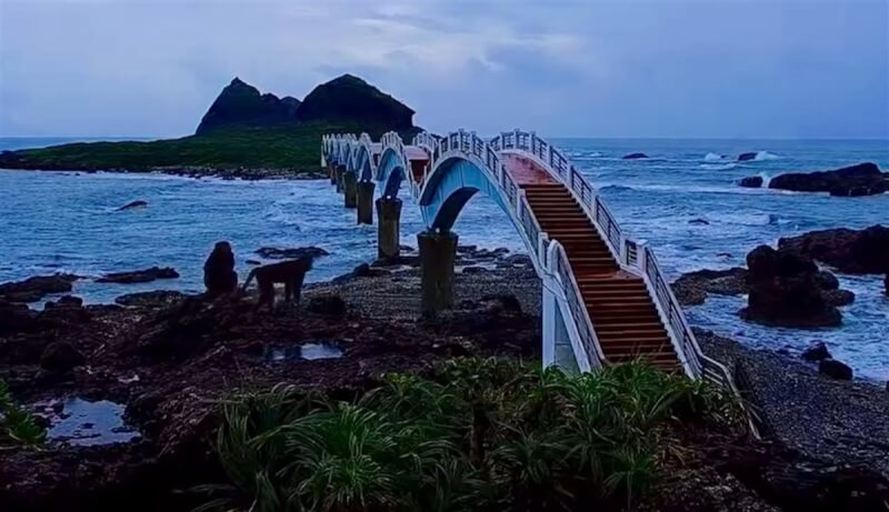 颱風山陀兒逼近,東管處設置在東海岸三仙台的即時影像2日清晨拍到2隻台灣獼猴到岸邊觀浪,坐了一會兒,又疑似不安地走來走去。(東管處提供)中央社記者盧太城台東傳真 113年10月2日