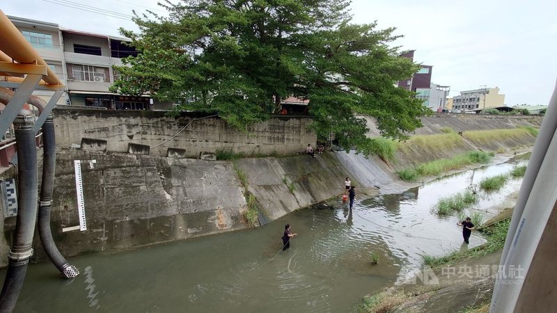 颱風山陀兒慢步接近台灣，2日上午嘉義沒有風雨，美上美社區旁內溪州排水渠道還有幾名外籍移工用漁網撈魚。中央社記者蔡智明攝  113年10月2日