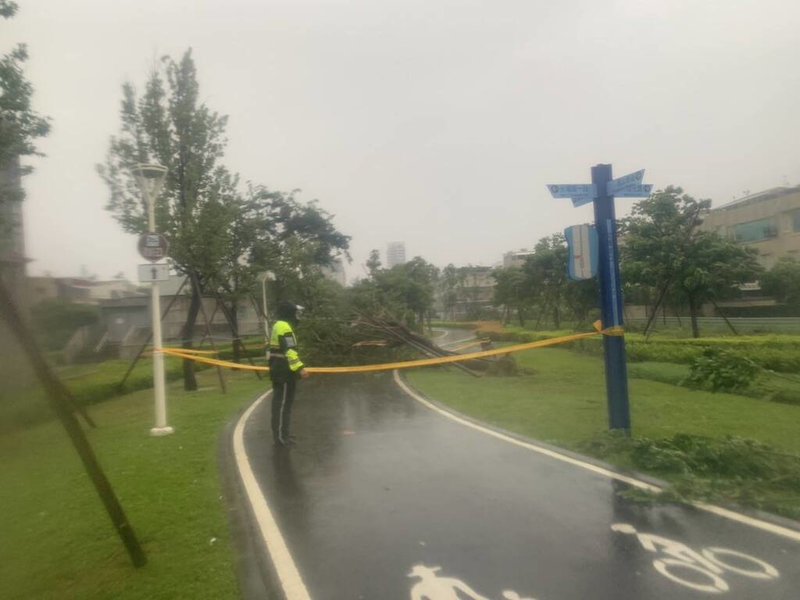 颱風山陀兒來襲，高雄3日上午風雨漸強，施姓騎士騎乘輕型電動機車行經鳳山區和平路與文康街口，遭倒塌路樹壓傷，幸送醫後無大礙，員警到場拉起封鎖線。（高市鳳山警分局提供）中央社記者洪學廣傳真  113年10月3日