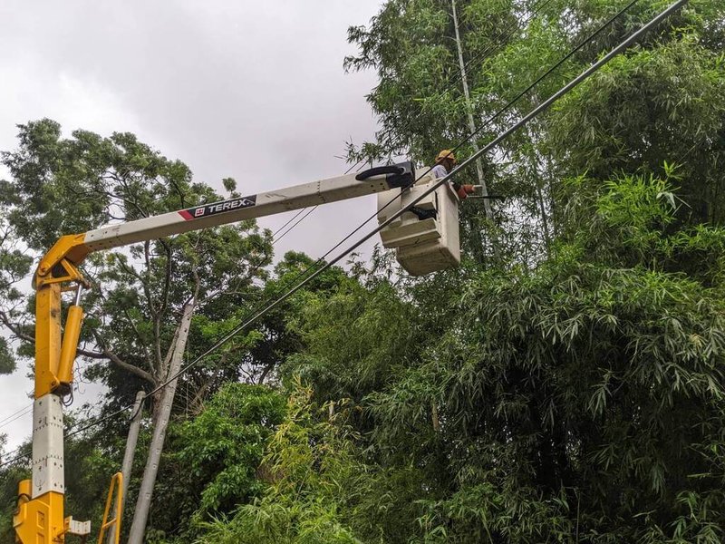 颱風山陀兒襲台，台電苗栗區營業處表示，截至3日下午3時，轄區曾停電980戶，多因樹竹碰觸造成零星事故，派員搶修後已陸續恢復供電。（台電苗栗區營業處提供）中央社記者管瑞平傳真 113年10月3日