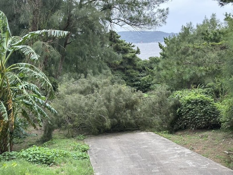 受颱風「山陀兒」影響，馬祖地區自1日起強風籠罩，連江縣消防局指出，3日新增3起災情通報，其中2起分別為東莒與西莒有路樹倒塌，幸未釀人員傷亡。（連江縣消防局提供）中央社記者潘欣彤傳真  113年10月3日