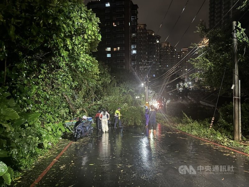 受颱風山陀兒影響，新北市淡水區新民街3日晚間有路樹傾倒，砸傷2名機車騎士，另有1名女騎士見狀欲幫忙，卻再遭傾倒樹木枝幹壓傷，3人都無生命危險。（翻攝照片）中央社記者高華謙傳真  113年10月3日