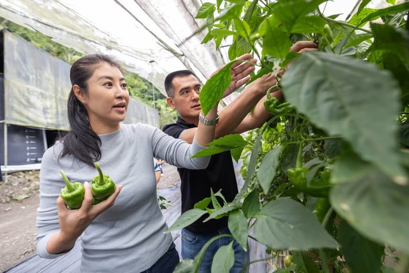 颱風山陀兒來襲，南投縣長許淑華（左）3日上午先到信義鄉關心農作物採收情形，下午則親自主持南投縣災害應變中心會議。（南投縣政府提供）中央社記者蕭博陽南投縣傳真  113年10月3日