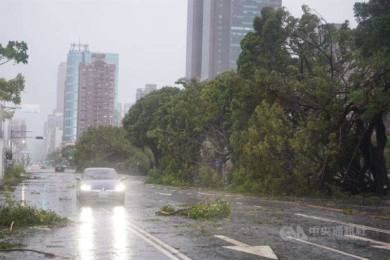 颱風山陀兒3日中午登陸高雄帶來強勁風雨，高雄市成功路上行道樹遭強風吹至傾倒，路面到處可見樹葉殘枝，一片凌亂。中央社記者董俊志攝 113年10月3日