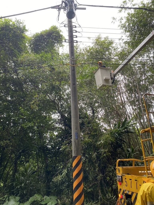 台電新竹區營業處3日表示，受颱風「山陀兒」襲台造成路樹倒塌壓損電線、電纜斷落等情形；目前有饋線事故造成湖口鄉1839戶停電，已派員搶修，預計晚間9時30分左右可復電。（台電新竹區營業處提供）中央社記者郭宣彣傳真  113年10月3日