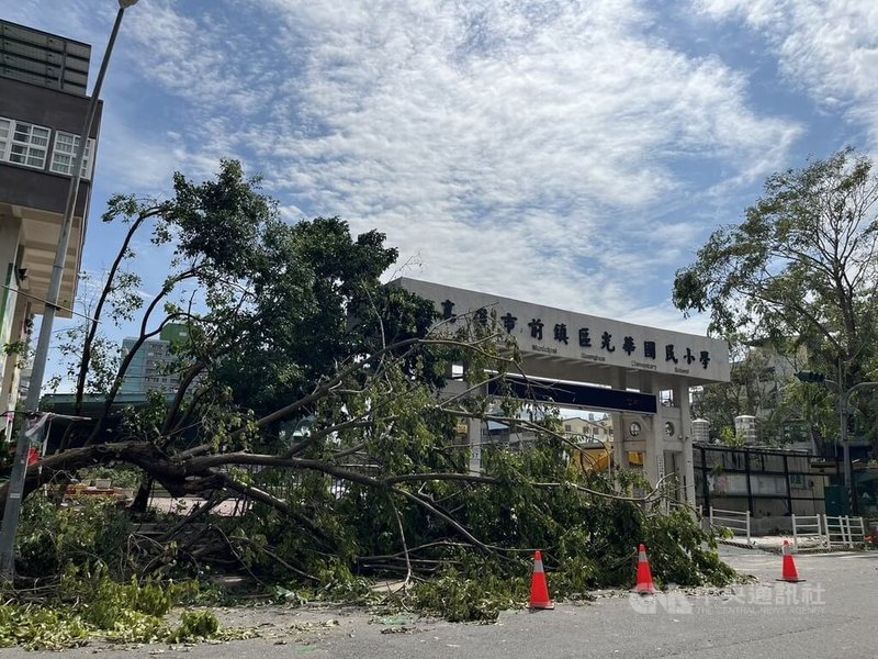 颱風山陀兒3日從高雄登陸造成嚴重災情,多數學校樹倒一片,周邊人行道寸步難行。圖為前鎮區光華國小校門口樹木傾倒情形。中央社記者林巧璉攝 113年10月4日