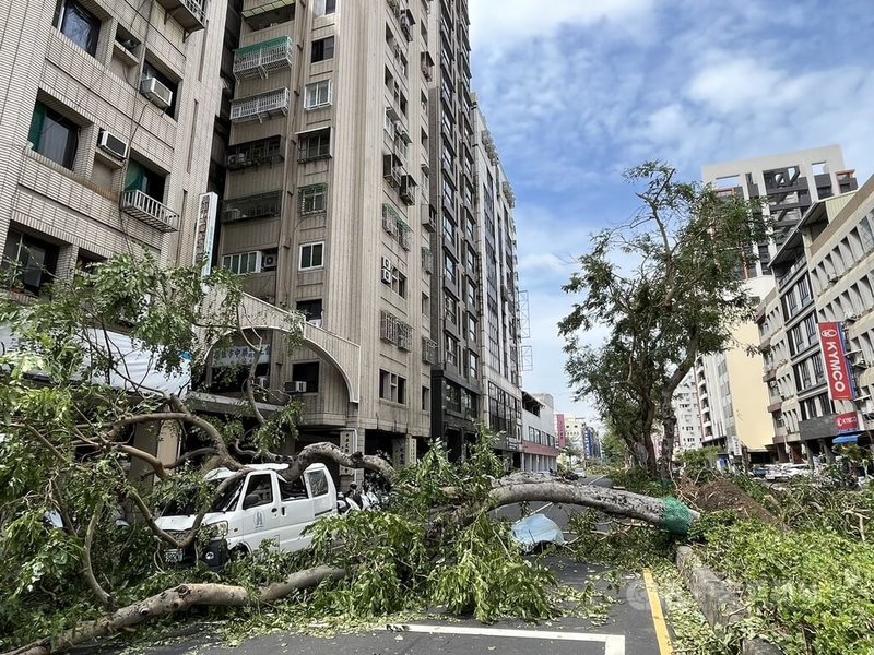 颱風山陀兒3日從高雄登陸，前鎮區二聖二路與和平二路一帶分隔島路樹傾倒，停在路邊停車格的車輛也遭波及。中央社記者林巧璉攝 113年10月4日