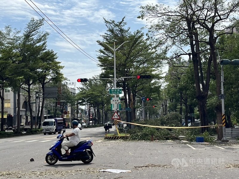颱風山陀兒重創高雄,當地超過2000棵路樹傾倒,鳳山區五甲一路與國富路一帶多處封路,需繞道而行;根據高市府統計,目前仍有1951棵路樹待處理。中央社記者林巧璉攝 113年10月4日