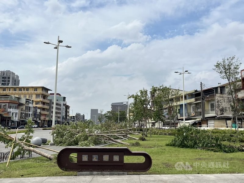 颱風山陀兒肆虐高雄，高雄市2000餘棵樹木不敵強風傾倒，環保局統計3日至5日下午5時止，共清除道路路樹及雜物約1748.1噸。中央社記者林巧璉攝  113年10月5日