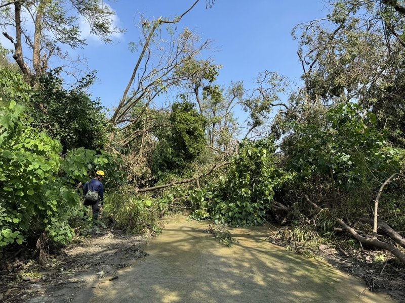 高雄市政府消防局獲報，75歲林姓男子5日獨自到壽山國家自然公園登山，自元亨寺附近入山後走失，經救難人員協尋，6日下午於南壽山停車場附近尋獲疑似摔落邊坡、明顯死亡林男。（高雄市政府消防局提供）中央社記者張已亷傳真  113年10月6日