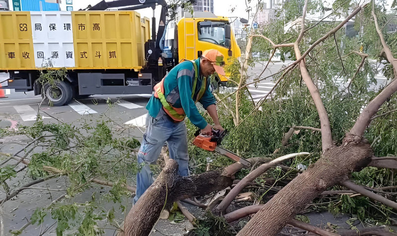 高雄市政府環保局表示，日前颱風山陀兒強風大雨造成各區多處路樹傾倒，這次環境復原過程有別以往，需先使用鏈鋸切斷巨木樹枝，增加工作難度。（高雄市政府環保局提供）中央社記者張已亷傳真  113年10月6日