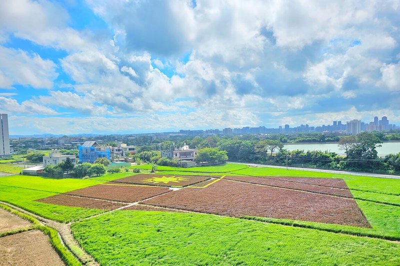 歡慶國慶日，總面積4公頃、全國最大的彩繪稻田10日將在桃園市大園溪海休閒農業區登場，超過千坪的彩繪稻田國旗圖騰，每株彩色稻株都是由農民親手栽種。（桃園市政府農業局提供）中央社記者吳睿騏桃園傳真  113年10月7日