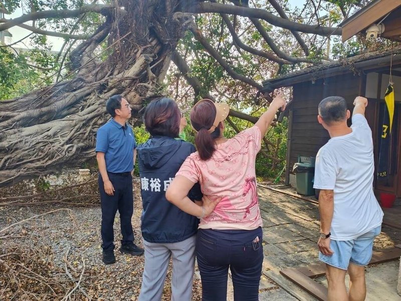 颱風山陀兒重創高雄，位於舊三塊厝車站旁的一棵百年榕樹也被吹倒，在議長康裕成（左2）請命下，市府展開搶救行動，9日先完成修剪進度。（高雄市議會提供）中央社記者蔡孟妤傳真  113年10月9日