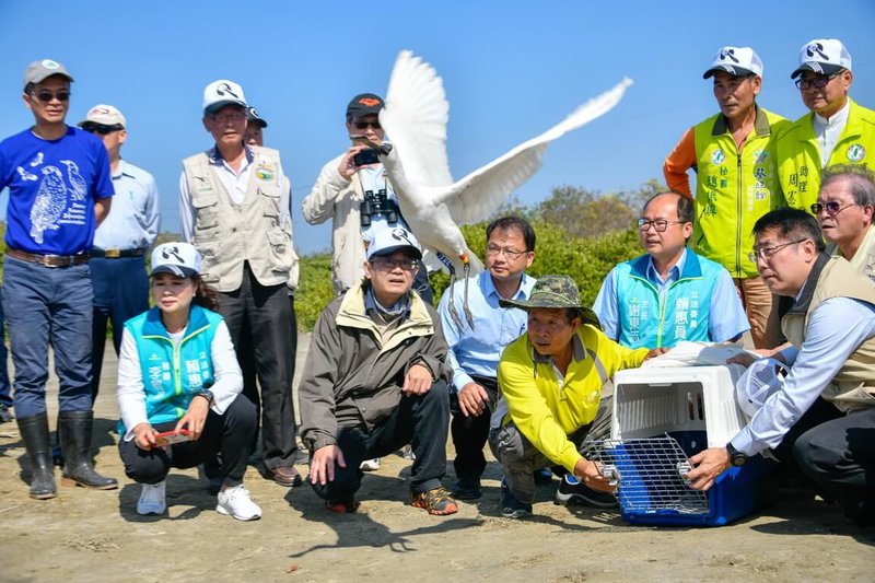 2024黑面琵鷺保育季預定於10月20日在台南市七股區揭幕，保育季期間啟動尋覓台南市長黃偉哲野放的18隻傷癒黑琵，共同關心黑琵保育成長。（台南市生態保育協會提供）中央社記者張榮祥台南傳真  113月10月9日