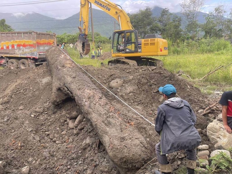 颱風凱米襲台後各單位忙於救災之際，卻有「山老鼠」趁隙在荖濃溪河床非法竊取漂流木，警方分別在高雄市六龜、屏東縣高樹及台中市沙鹿等地逮獲潘姓犯嫌及共犯11人到案，並於農地內起獲埋藏遭竊的貴重櫸木。（高雄市六龜警分局提供）中央社記者洪學廣傳真  113年10月11日