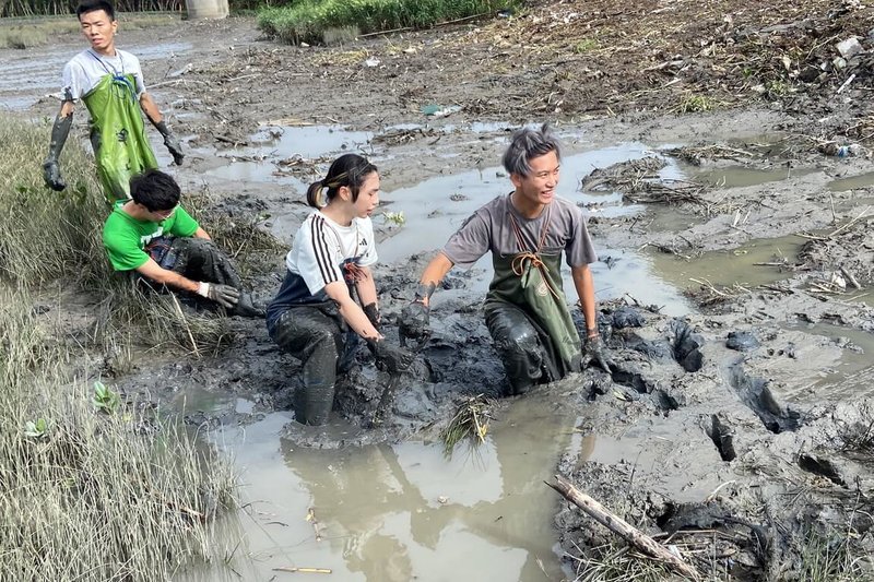 台北市野鳥學會12日表示，為保護水鳥的重要棲息地，日前結合公民團體與政府機關、學校，在淡水河新北市蘆洲段的泥灘地，移除增生的紅樹林幼苗與高莖植物。（台北鳥會提供）中央社記者黃旭昇新北傳真  113年10月12日