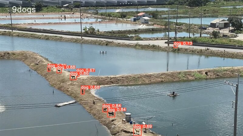 嘉義縣家畜疾病防治所與雲林科技大學電機系合作,應用智慧聯網(AIoT)技術,利用無人機於高空AI即時辨識犬隻移動蹤跡,協助動物保護管制隊隊員辨別狗群方向與精準捕抓目標麻醉犬隻。(嘉義縣政府提供)中央社記者蔡智明傳真 113年10月15日