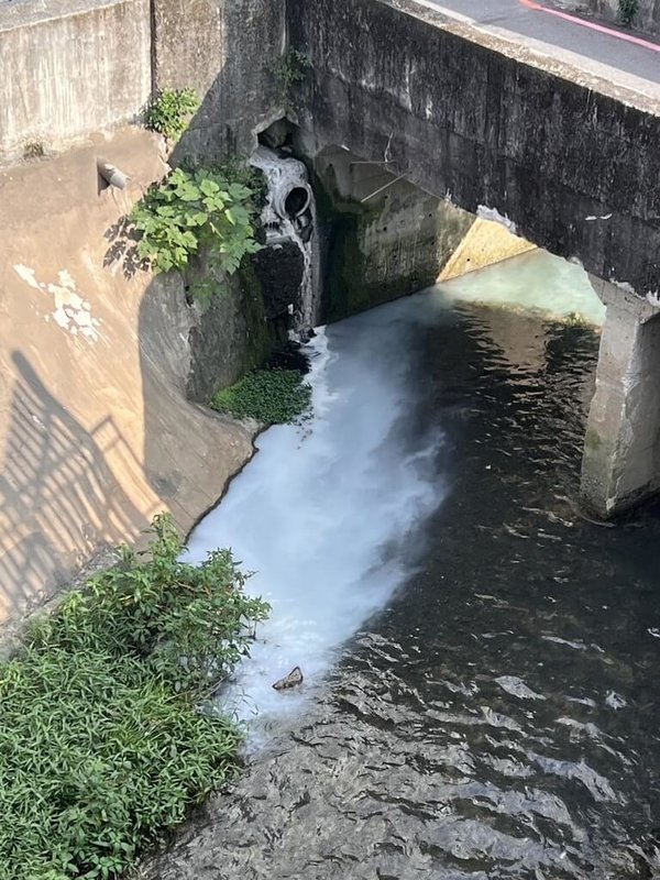 新北市環保局指出，永和一號抽水站旁的瓦磘溝14日出現白色廢水，環保局獲報派員稽查，發現是某民宅室內粉刷工程所致，稽查人員當場以違反水污染防治法第30條規定告發。（新北市環保局提供）中央社記者王鴻國傳真  113年10月15日