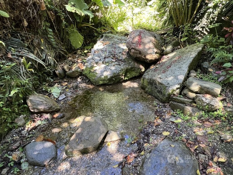 台東縣鹿野鄉永安村內的聖安宮玉龍泉，斷水約2年，日前湧泉再現，地方人士雖對斷水原因納悶，但也感到欣喜，歡迎遊客到訪。中央社記者盧太城台東攝  113年10月18日