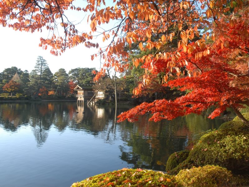 圖為日本京都兼六園景致。（圖取自兼六園觀光協會網頁kenrokuen.or.jp）