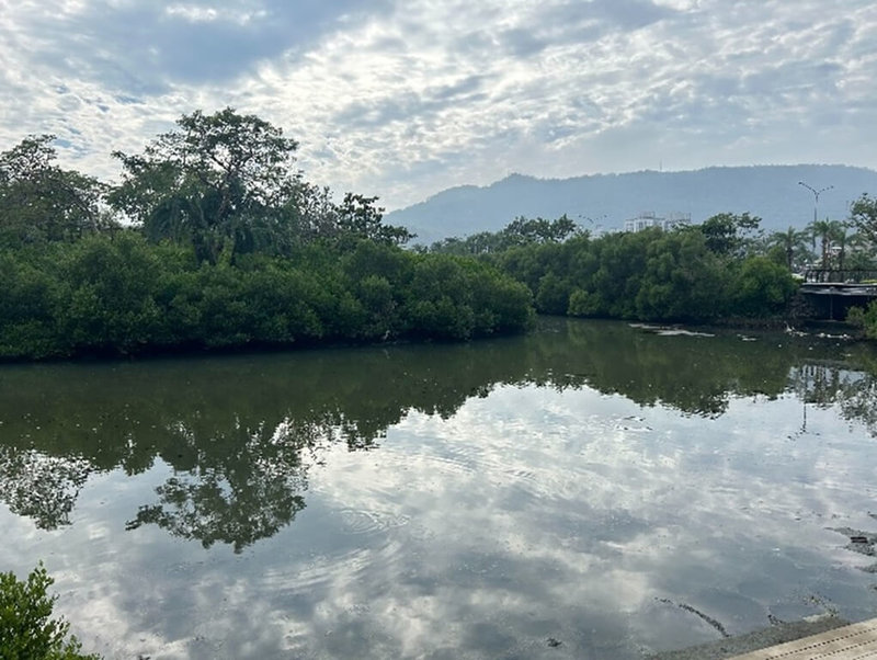 高雄中都濕地公園因受愛河感潮及底泥淤積等因素，導致水域水質不佳，市府水利局近日展開改善工程，預計113年底前完工，盼打造舒適休憩環境。（高雄市水利局提供）中央社記者蔡孟妤傳真 113年10月29日