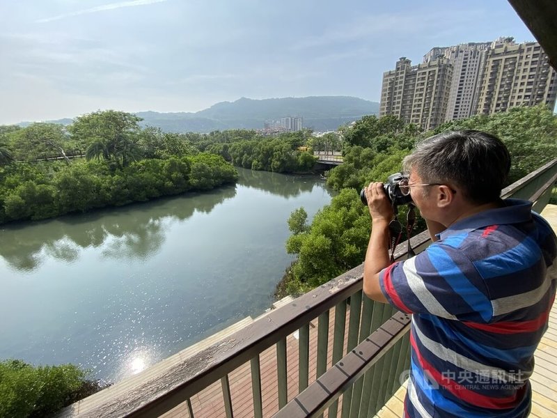高雄中都濕地公園因受愛河感潮及底泥淤積等因素導致水域水質不佳,市府水利局將著手進行改善,把愛河活水引入濕地,維持水流循環暢通並改善水質,預計今年底前完工。圖為29日高雄中都濕地公園現況。中央社記者董俊志攝 113年10月29日