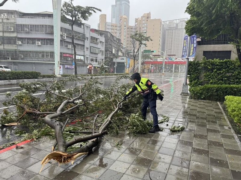 颱風康芮暴風圈影響全台各縣市,多處發生路處倒塌等災情。新北市板橋區縣民大道二段31日也有路樹不敵強風傾倒,員警獲報前往處理,協助將斷木拖到一旁人行道上。(警方提供)中央社記者高華謙傳真 113年10月31日