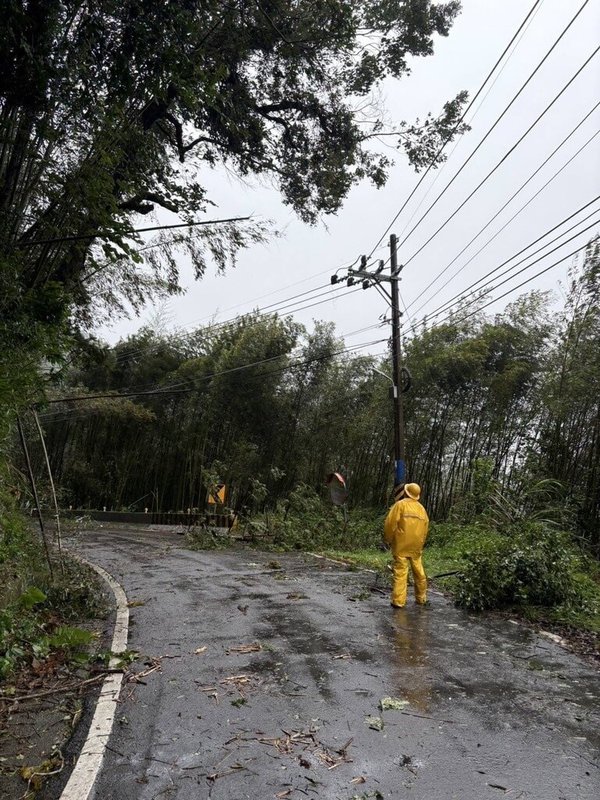 台電新竹區營業處31日表示，新竹地區陸續有停電事故，主要集中在尖石鄉及五峰鄉，多因強風吹斷樹木碰觸電線。（台電新竹區營業處提供）中央社記者郭宣彣傳真  113年10月31日