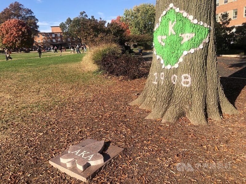 民主黨總統候選人賀錦麗大學時期參加的非裔姐妹會Alpha Kappa Alpha Sorority,是非裔社群「神聖9會」之一,也在霍華德大學有代表樹。中央社記者石秀娟華盛頓攝 113年11月1日