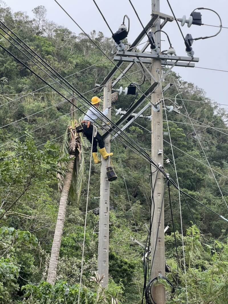 颱風夾帶強風豪雨重創台東，造成多處停電災情，配電線路與設備受損嚴重，台電台東區處1日清晨持續搶修，並啟動跨區處支援。（台電提供）中央社記者盧太城台東傳真 113年11月1日