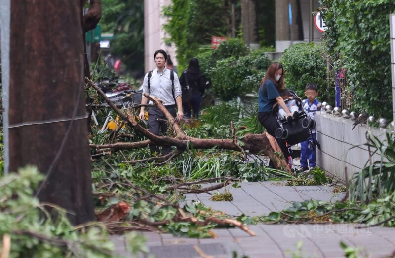 颱風康芮襲台，導致台北市約2000處樹倒，儘管環保局、工務局等人員連夜搶救災，仍來不及完全清除。圖為1日上午台北市安和路2段人行道上樹枝散落，家長搬起推車才能通過。中央社記者謝佳璋攝 113年11月1日