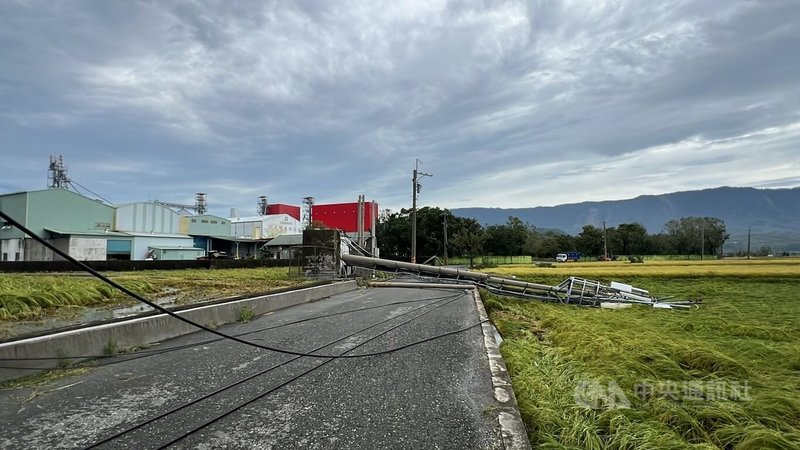 颱風康芮強風吹斷台東縣關山鎮電信業者基地台，包括農會穀倉在內約800戶停電，如未能儘速修復，約百噸稻穀恐發酸、發霉。台電表示，會配合電信業者儘全力搶修。中央社記者盧太城台東攝  113年11月1日