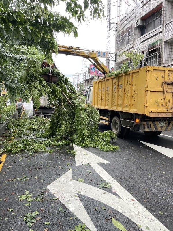 颱風康芮過境後全台多個縣市紛傳災情，南投市也有零星樹木傾倒、鐵皮圍牆倒塌等，幸無重大影響，市公所1日出動人車陸續清除殘木斷枝。（南投市公所提供）中央社記者蕭博陽南投縣傳真  113年11月1日