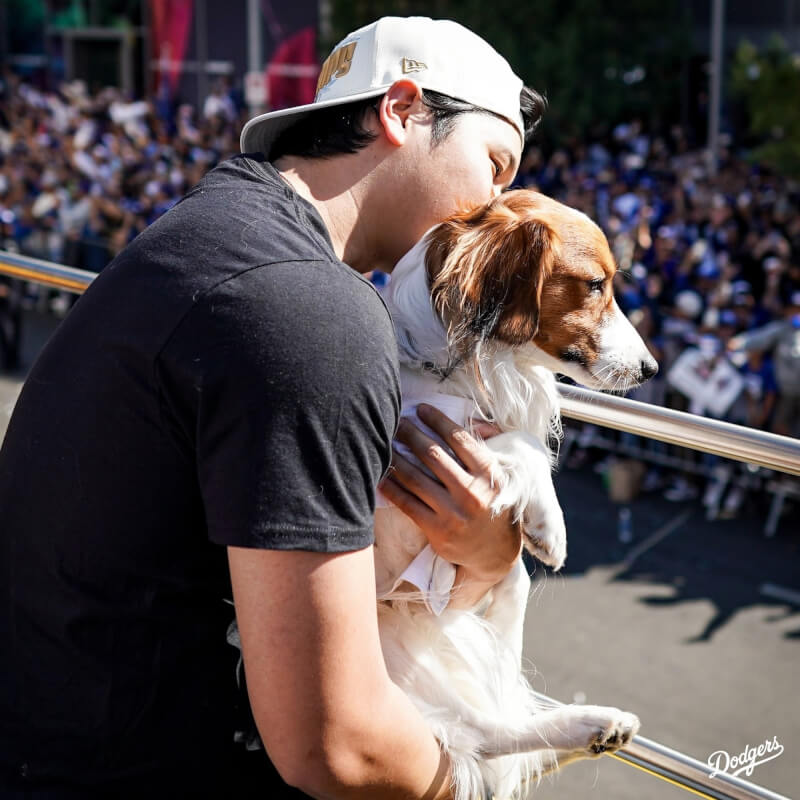 大谷翔平開心親吻愛犬「彈額頭」。（圖取自x.com/Dodgers）