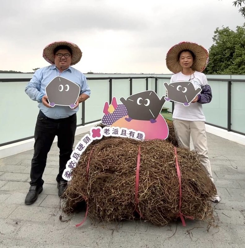 嘉義縣水上鄉公所11月9日、10日將在溪東公園舉辦仙草柔軟節,推廣在地特產,民進黨立委蔡易餘(左)與水上鄉長林緗亭(右)同框為活動宣傳。(水上鄉公所提供)中央社記者蔡智明傳真 113年11月6日