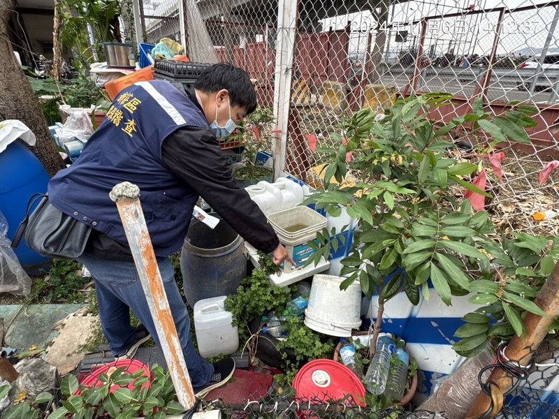 新北市8日宣布再新增1例本土登革熱病例，為中和區67歲女性，目前仍住院治療中。衛生局持續呼籲民眾，為免孳生病媒蚊，應積極巡察並落實清除積水容器。（新北市衛生局提供）中央社記者黃旭昇新北市傳真  113年11月8日