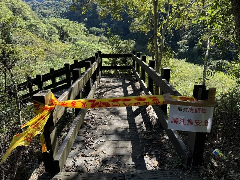 苗栗縣泰安鄉水雲瀑布11日上午發生虎頭蜂攻擊遊客事件，來自彰化的登山團體有2男、2女遭蜂螫受傷送醫，現場已拉起封鎖線。（苗栗縣消防局提供）中央社記者管瑞平傳真 113年11月11日