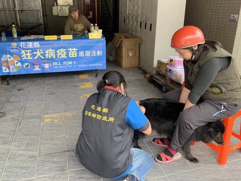 花蓮縣過去1年檢出狂犬病陽性案例共13例，件數居全台之冠，縣府加強防疫，規劃辦理狂犬病巡迴注射。（花蓮縣政府提供）中央社記者李先鳳傳真  113年11月12日