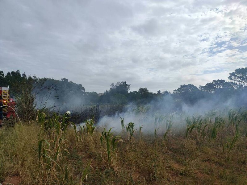 金門縣金寧鄉林湖路旁產業道路18日上午發生雜草火災，消防局獲報立即出動人車到場搶救，幸無人員傷亡。（金門縣消防局提供）中央社記者吳玟嶸傳真  113年11月18日