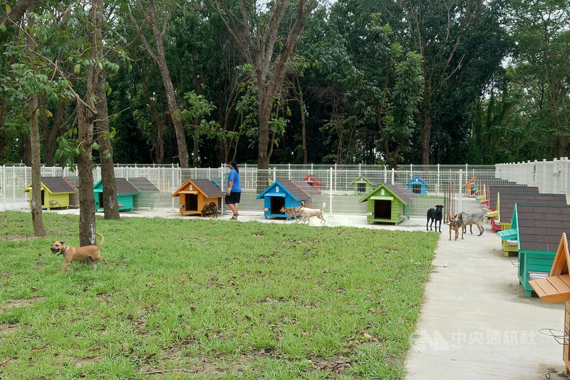 台南市政府在仁德區成功里設置首處遊蕩犬暫置區18日揭牌啟用,約1公頃園區可收容約200隻遊蕩犬。中央社記者楊思瑞攝 113年11月18日