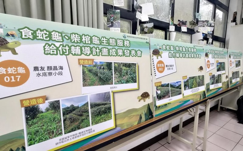 政治大學大學社會責任辦公室24日表示,22日在永安國小舉辦分享會,說明新北市石碇區永安社區執行「食蛇龜及柴棺龜生態給付示範計畫」成果。(政治大學社會責任辦公室提供)中央社記者黃旭昇新北傳真 113年11月24日