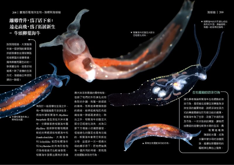 海洋委員會海洋保育署11月出版「臺灣百種海洋生物－海螺與海蛞蝓」圖鑑，是「台灣百種海洋生物」系列圖鑑第5集，精選逾百種海洋腹足類動物，揭開台灣海域中海螺與海蛞蝓神秘面紗，帶領讀者認識螺類百變造型及海蛞蝓鮮豔亮麗優美形態。（海洋保育署提供）中央社記者張已亷傳真 113年11月25日