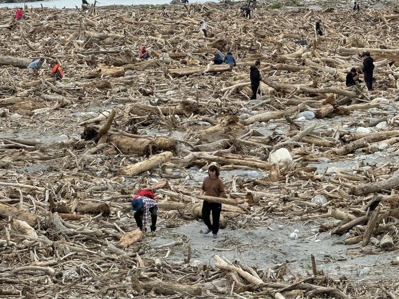 接連颱風來襲,花蓮沿岸堆積大量漂流木,目前已開放民眾有條件撿拾,花蓮縣文化局將舉行漂流木創作比賽,開放民眾投稿參加徵選。中央社記者張祈攝 113年11月29日