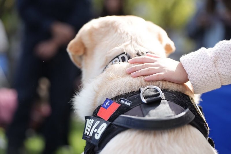 退休警犬「福星」30日行程滿滿，除參加2025新北消防形象月曆、市警局桌曆發表活動，也參加「毛寶貝魔幻幸福耶誕趴」，近距離與民眾互動，吸引許多人潮。（新北市警察局提供）中央社記者黃旭昇新北市傳真  113年11月30日