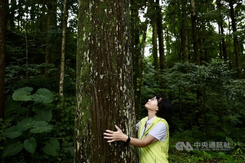 森林療癒師示範如何透過擁抱大樹，感受與山林對話帶來的放鬆與紓壓。（中央社檔案照片）