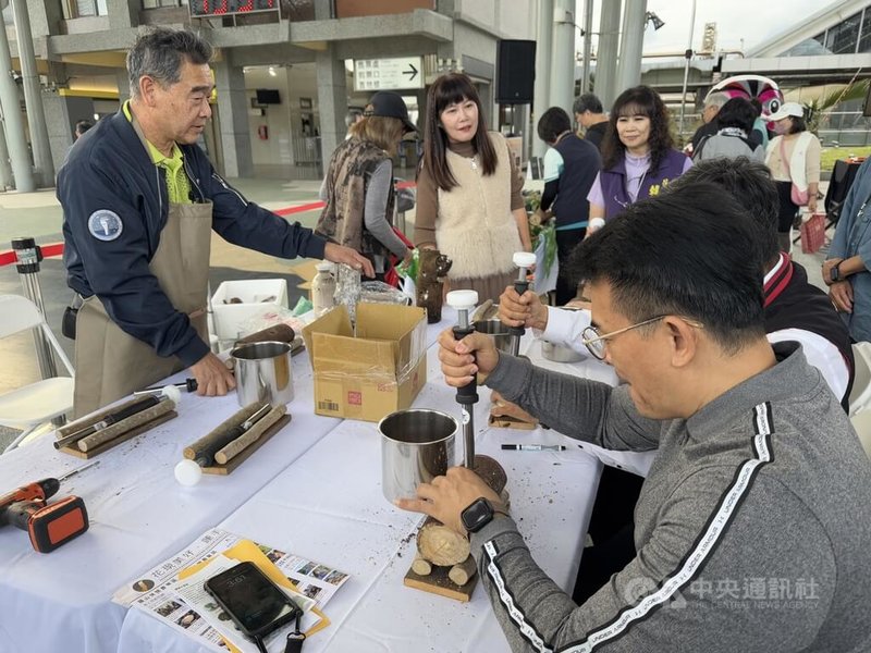 花蓮體驗活動金質獎競賽5日頒獎,金質獎第一名由花蓮市農會遊程「撒固兒的秘密森林」拿下,主打食農教育,讓民眾認識林下經濟作物,實際製作段木木耳,帶回家後等約3個月就可收成,讓民眾享受生產到食用的過程。圖為頒獎活動現場體驗製作段木木耳。中央社記者張祈攝 113年12月5日