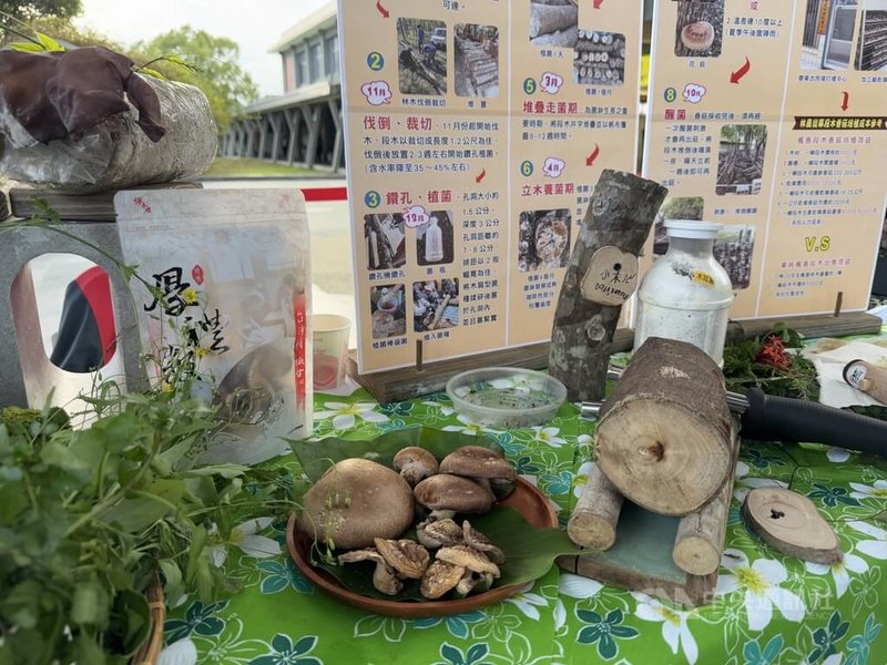 花蓮縣體驗活動金質獎競賽5日在花蓮火車站前頒獎，評選出前3名、嘉獎及潛力獎等，花蓮縣府農業處長陳淑雯表示，無論是否得獎，都盼輔導業者更精進遊程內容，提供專業建議，讓遊程更具吸引力。圖為頒獎現場展示主題遊程相關介紹。中央社記者張祈攝  113年12月5日