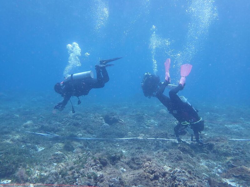 海洋委員會海洋保育署攜手民間單位執行小琉球海洋監測培訓與調查、珊瑚復原作業、底質及新生珊瑚數量調查，並辦理學校海洋公民科學課程、成果發表工作坊等，凝聚在地民眾參與保護珊瑚量能。（海洋保育署提供）中央社記者張已亷傳真  113年12月11日