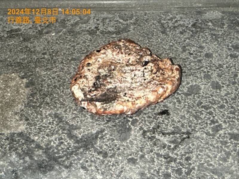 台北市都市發展局11日表示,內湖區行善社宅住戶投訴屋內排水孔溢出髒水,經查在2樓公共管線發現廚餘、肉排等物,已協助排除。圖為被清理出的肉排。(台北市都發局提供)中央社記者劉建邦傳真 113年12月11日