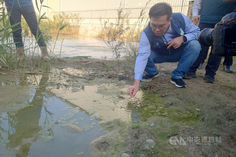 台南學甲工業區一處工廠所在地曾遭不法掩埋大量爐碴，雨後還滲漏至緊鄰土地，環境部長彭啓明（圖）12日前往視察了解時，親自以試紙檢測地表水酸鹼值。中央社記者楊思瑞攝  113年12月12日